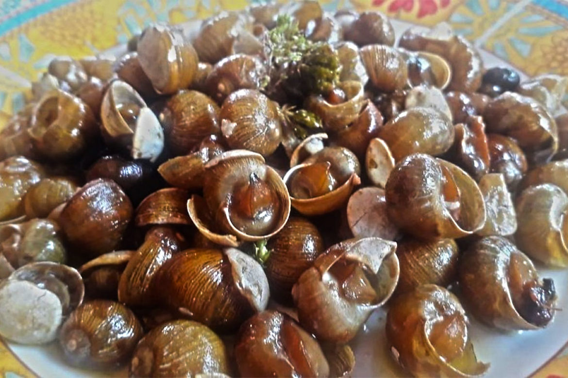 A Messina non mangiamo le Lumache, ma “ì Stuppateddi” A Messina non mangiamo le Lumache, ma "ì Stuppateddi"